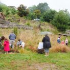 Planting kowhais- January 2012- Cambridge Tree Trust